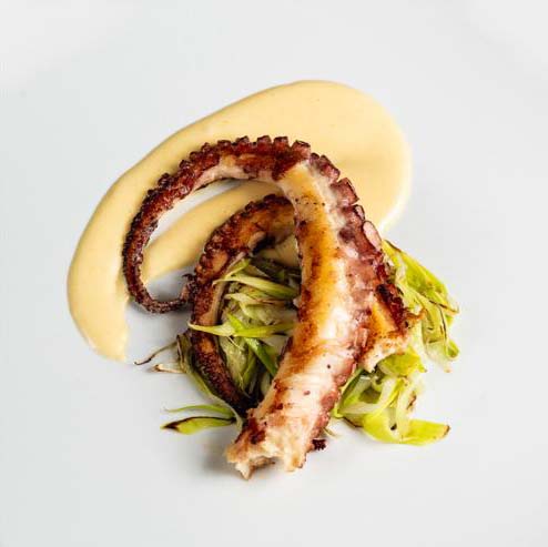 TENTACOLO DI POLPO SCOTTATO CON PORRI SALTATI E CREMA DI PATATE